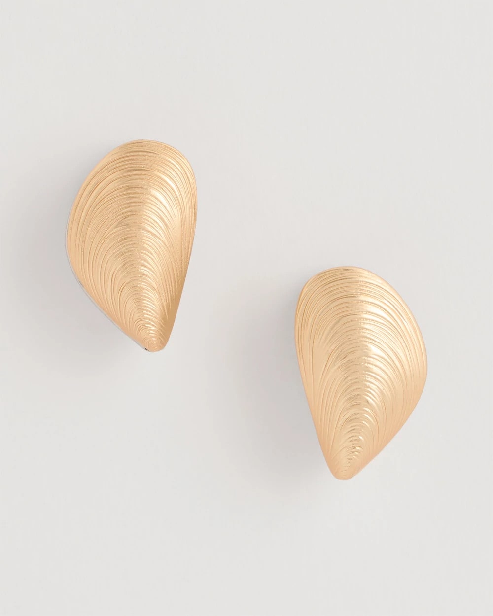 Chico's Special Offer | Mixed Metal Shell Earrings