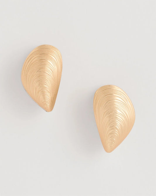 Chico's Special Offer | Mixed Metal Shell Earrings